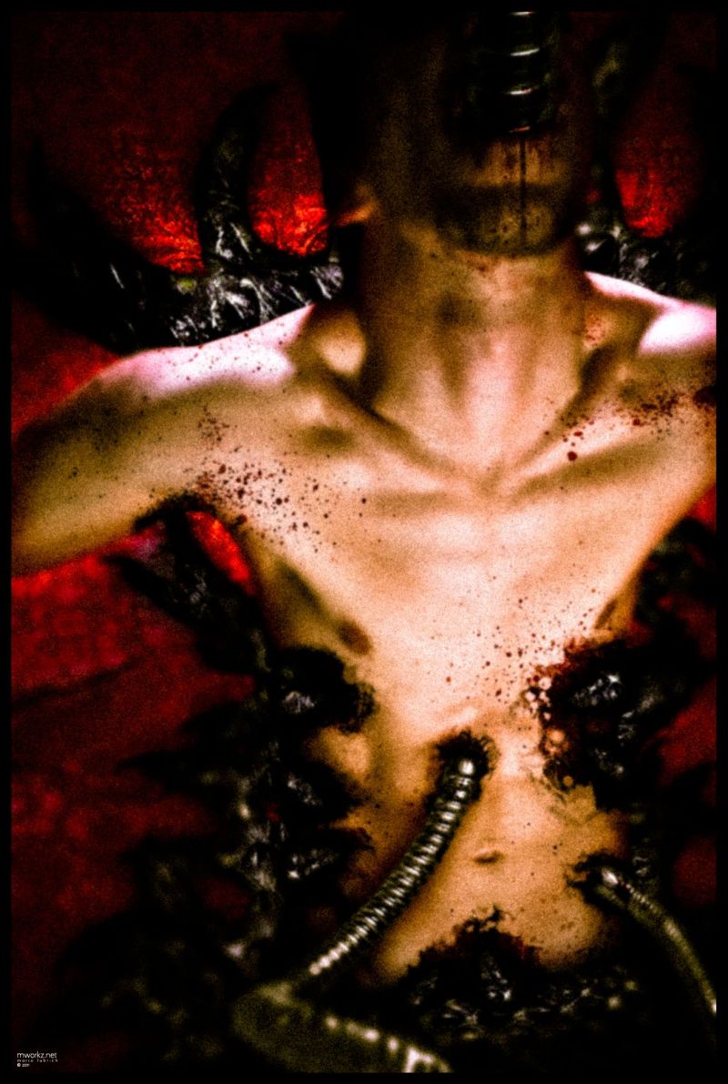 The RED Series II - feeder