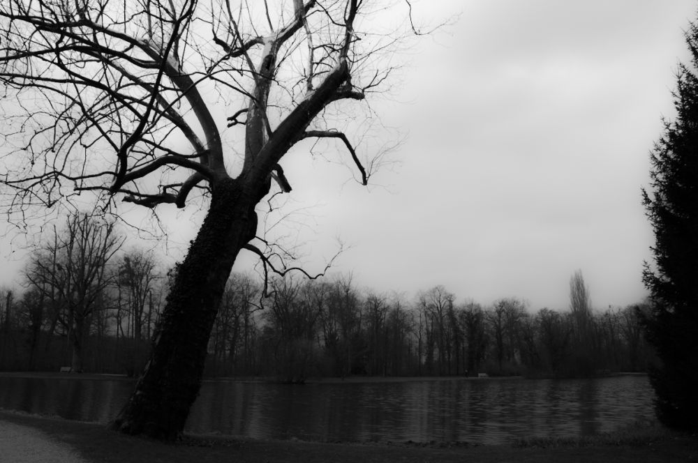 in-the-garden-between-shadows-and-the-sun_making-of_005