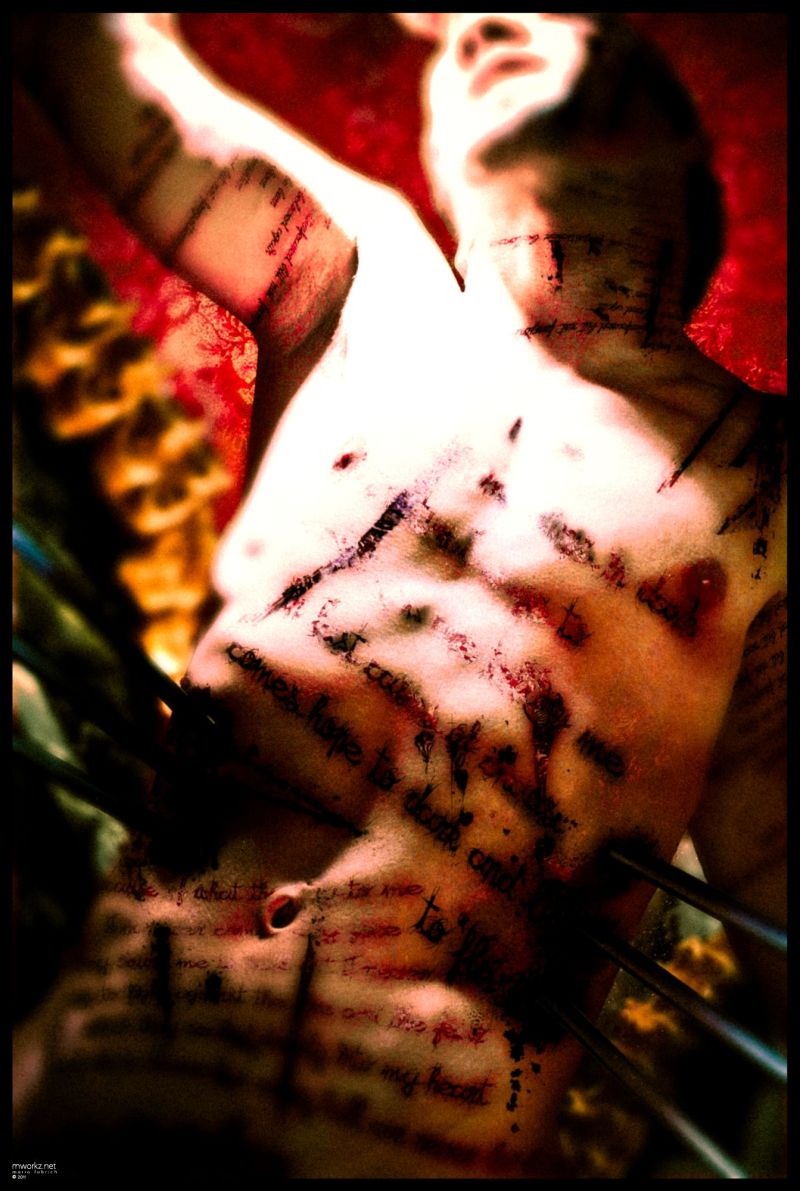 The RED Series IV - poet