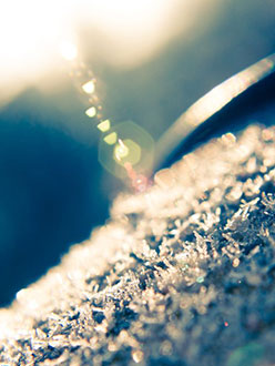 winter’s growth 12