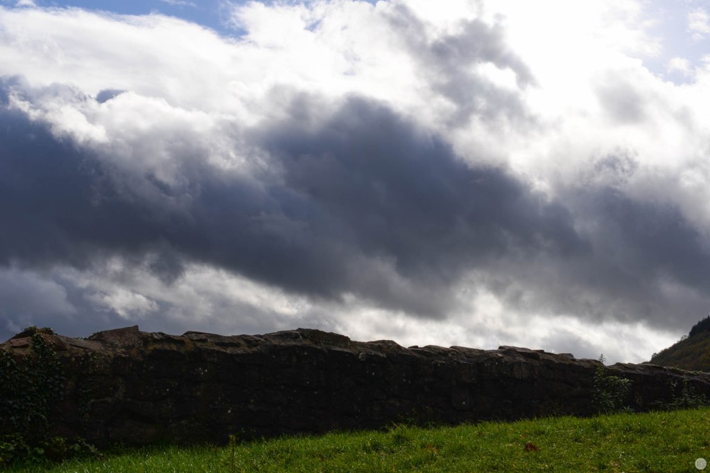 testfotos_nikon-d610_006_online