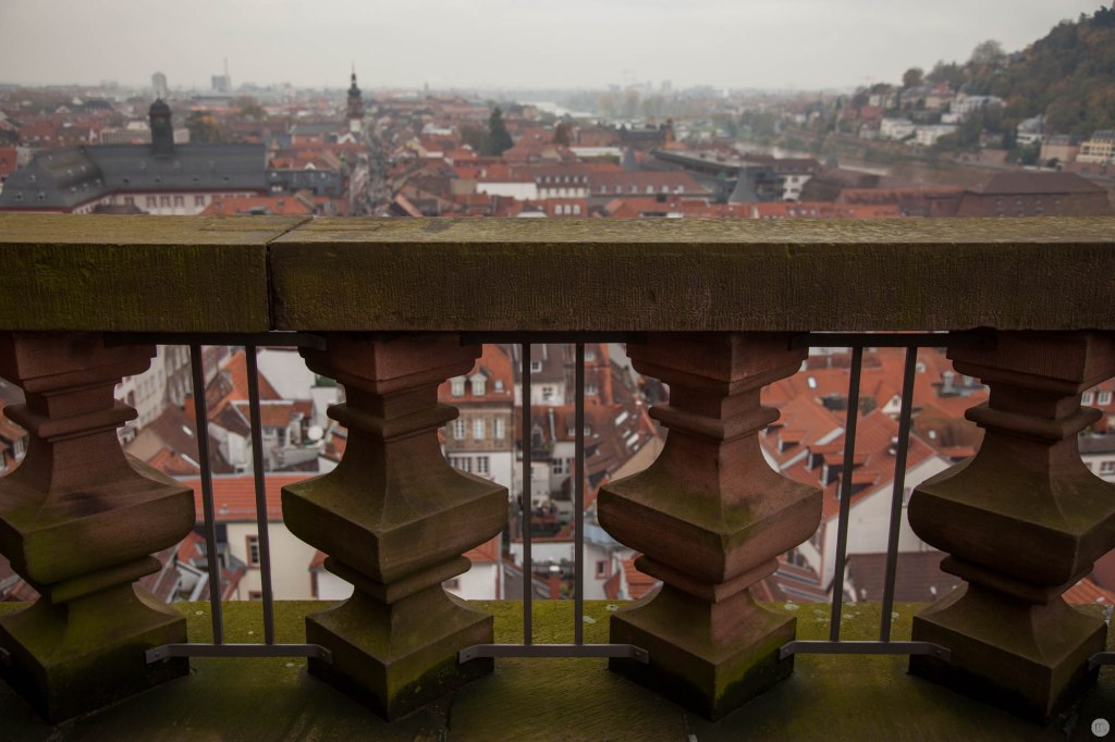 testfotos_sigma-24-105mm_019_online