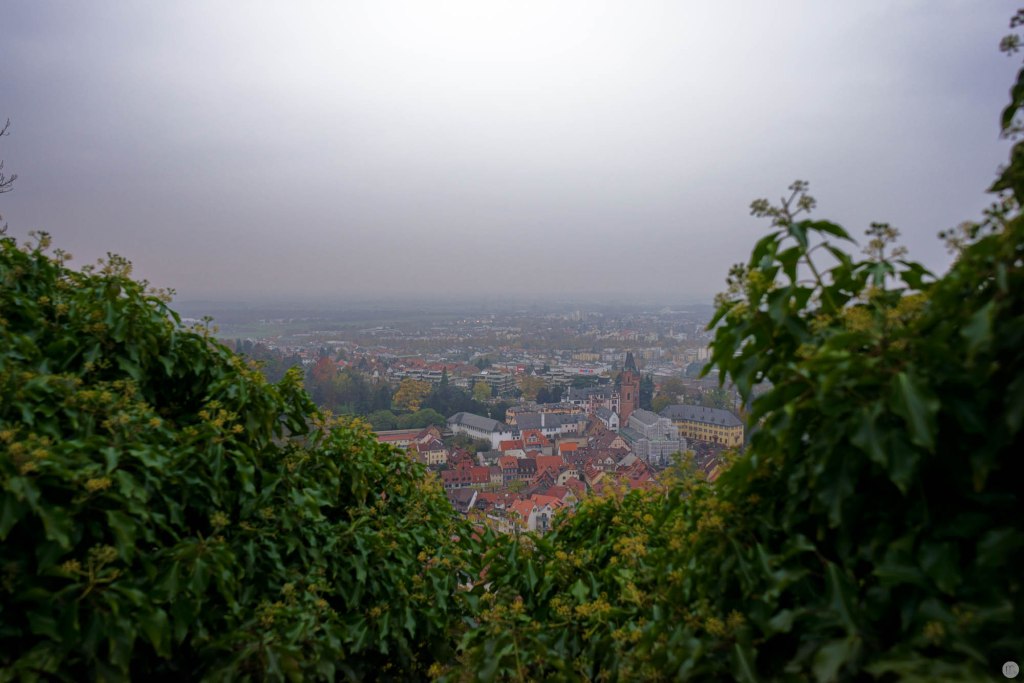 testfotos_sony-alpha-7r_029_online