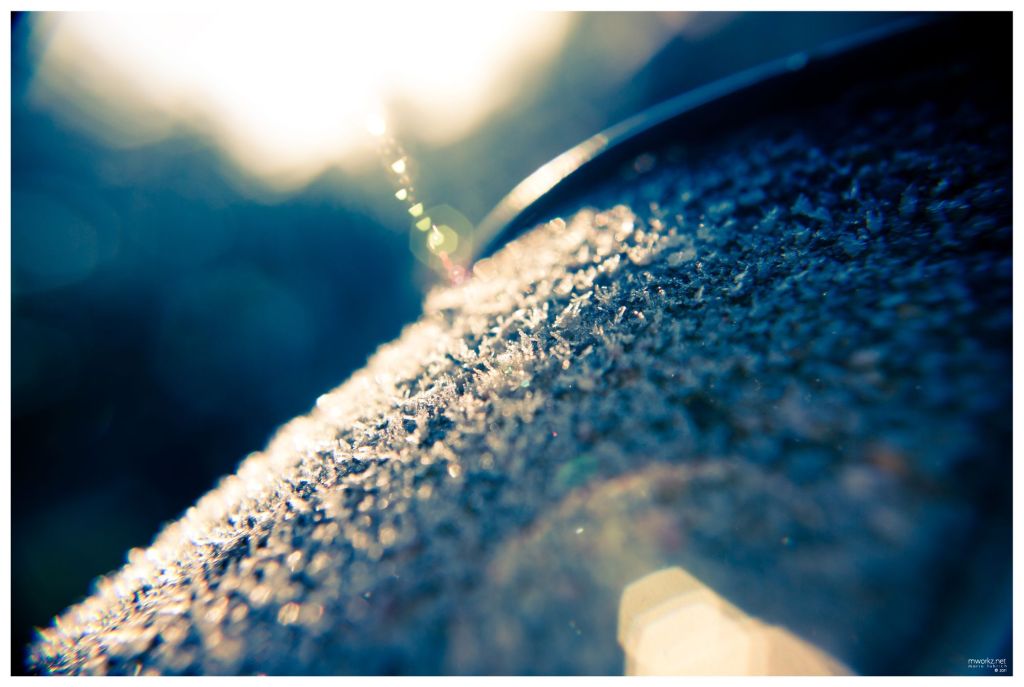 winters-growth-012-final