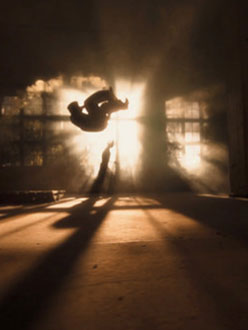 Holi Shit [KW49/2013]