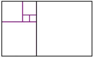 fibonacci-spirale_008