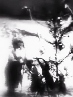 The Insects‘ Christmas&nbsp;[KW52/2013]