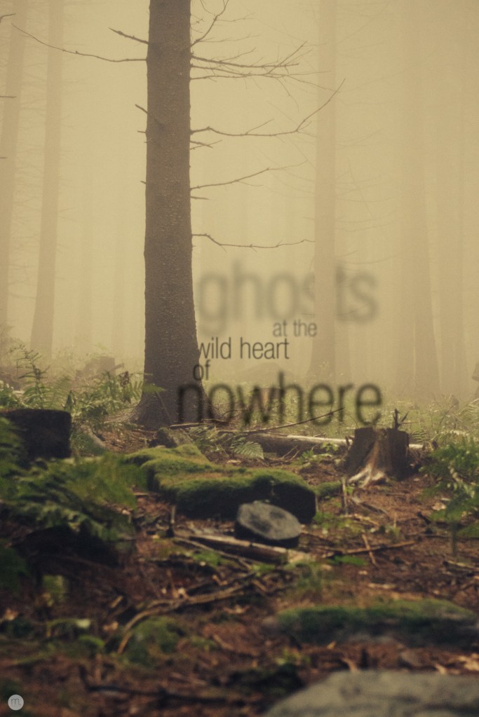 ghosts-at-the-wild-heart-of-nowhere_000_online