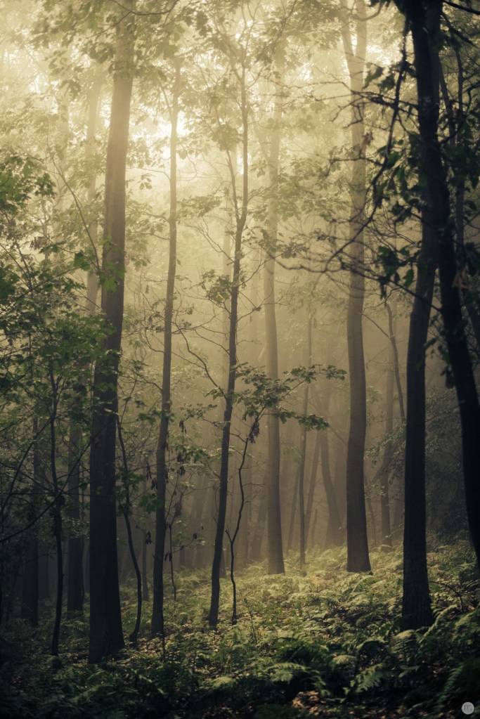 ghosts-at-the-wild-heart-of-nowhere_001_online