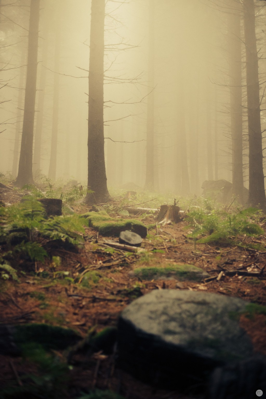 ghosts at the wild heart of nowhere&nbsp;VII