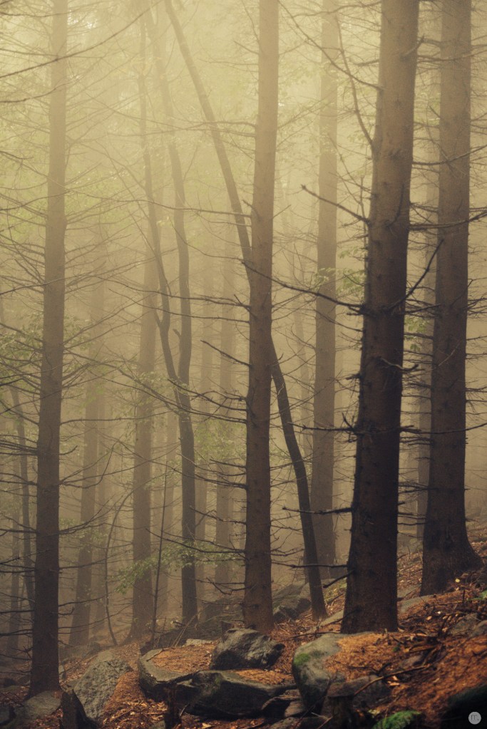 ghosts-at-the-wild-heart-of-nowhere_010_online