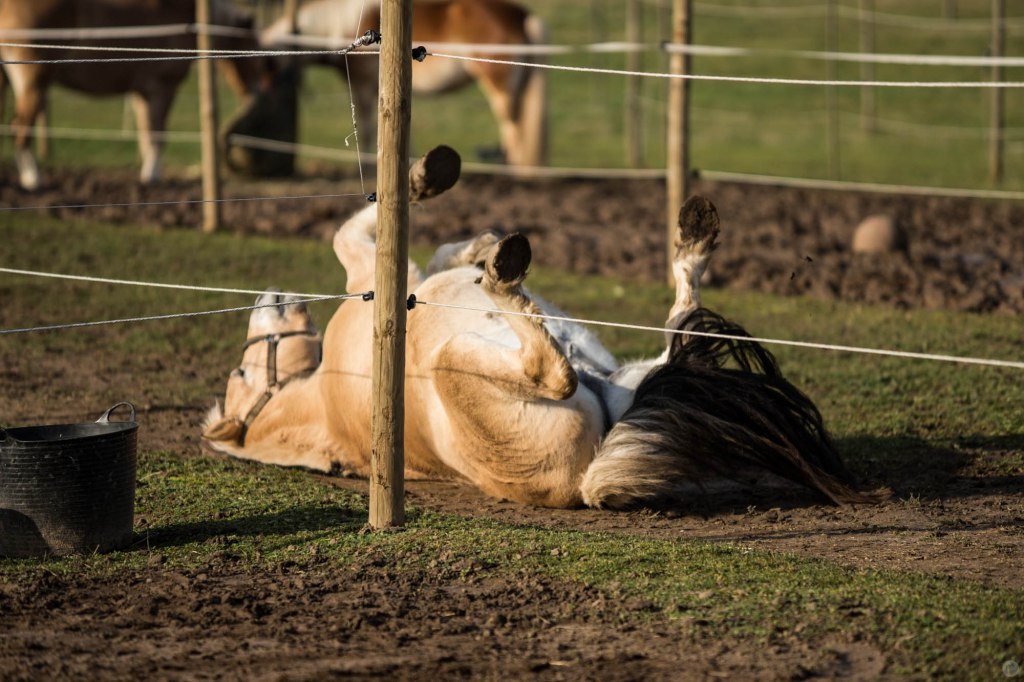 hands-on_sony70-200_010_online