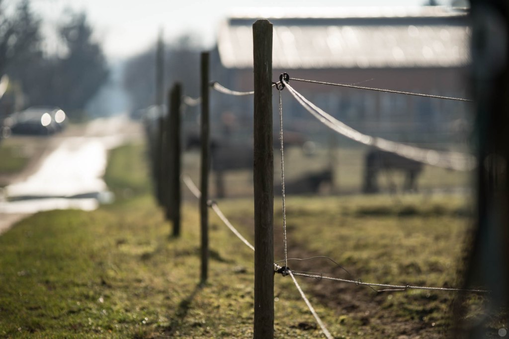 hands-on_sony70-200_012_online