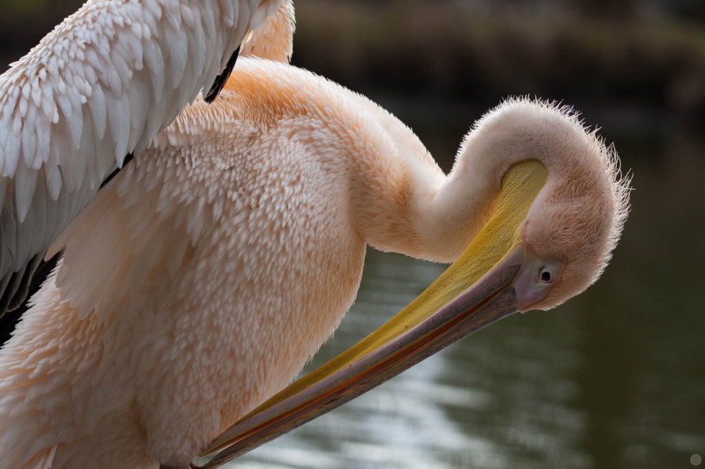 hands-on_tamron-150-600_003_online