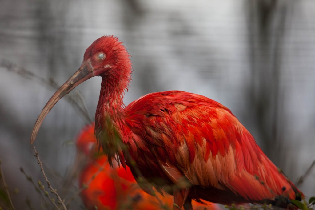 hands-on_tamron-150-600_007_online