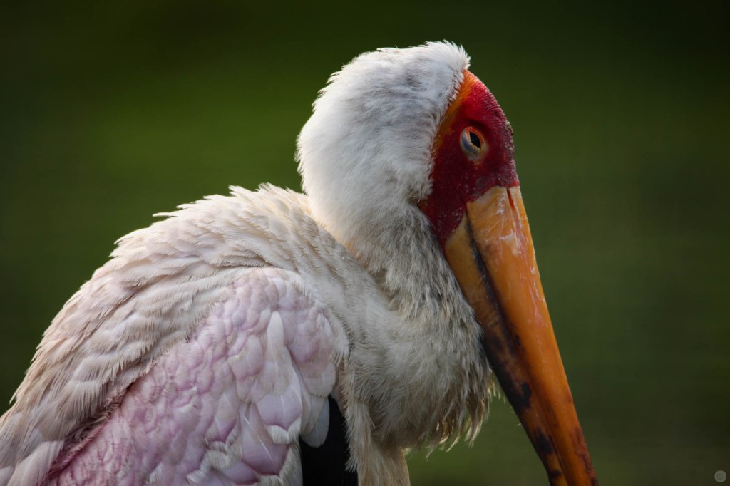 hands-on_tamron-150-600_018_online