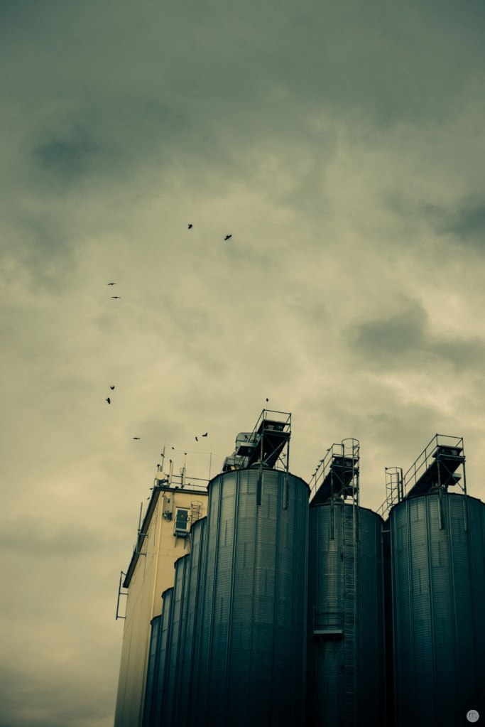 tanks-in-the-east_001_online