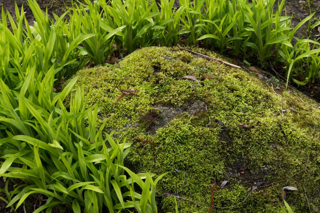 hands-on_nikon-d3300_020_online