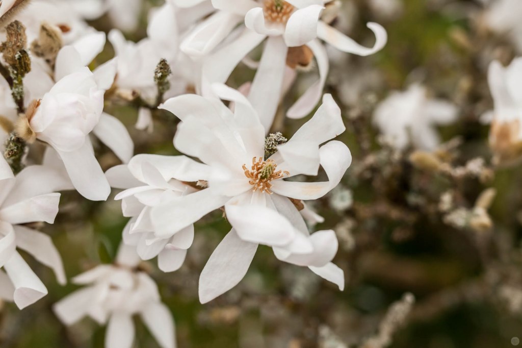 hands-on_sigma-50mm_012_online