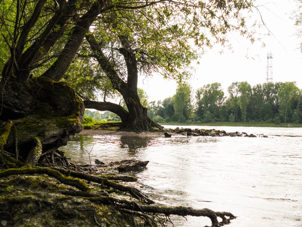 2014-online_0545_hands-on-panasonic-gh4_025