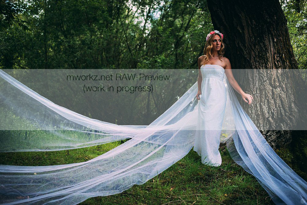 ekaterina_tull-and-dreams_002