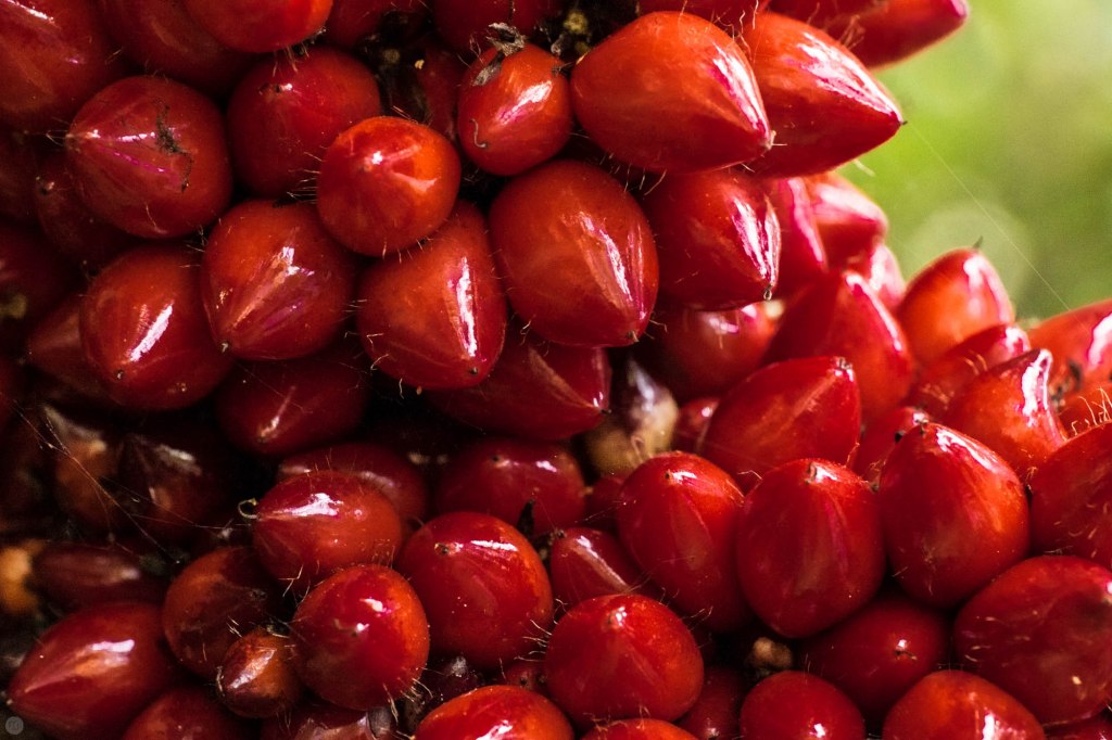 hands-on_zeiss-50mm_015_online