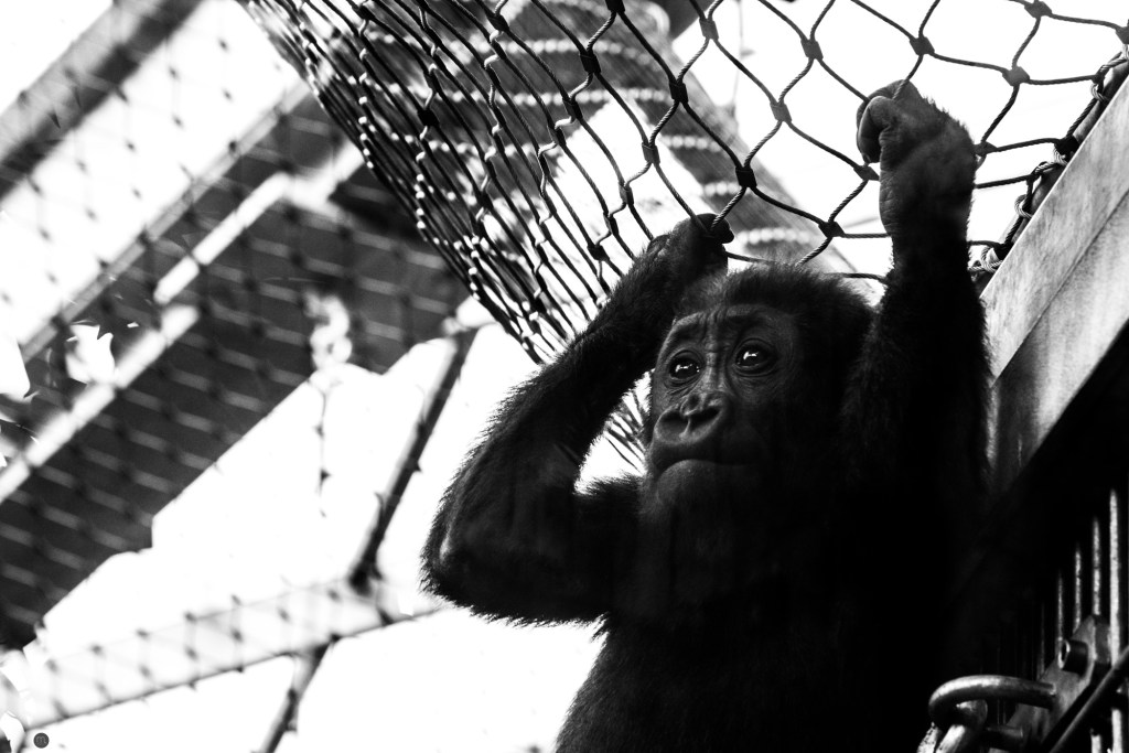 looking-for-another_001_online