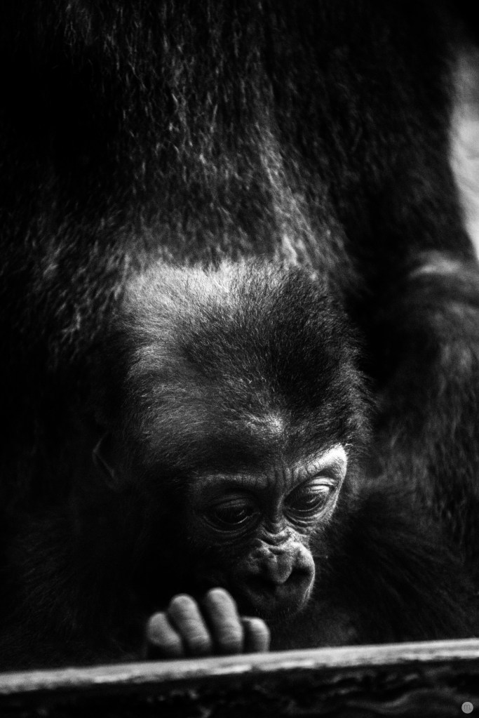 the-world-below_001_online