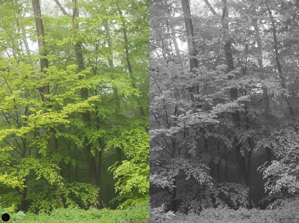 understanding-bw_depth_001