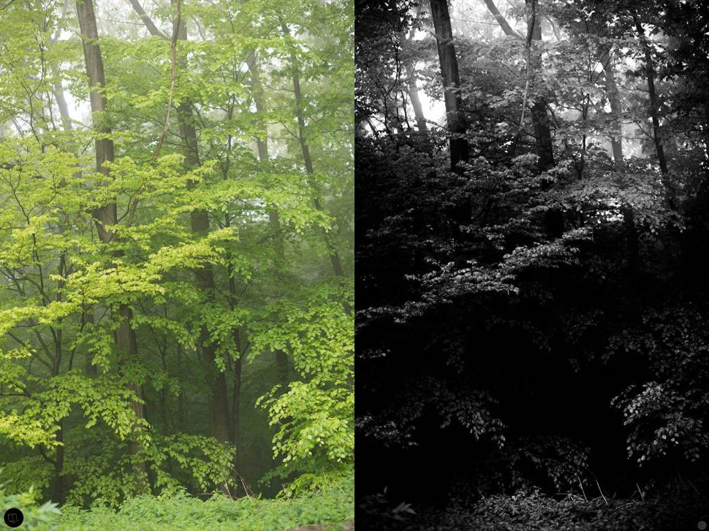 understanding-bw_depth_002