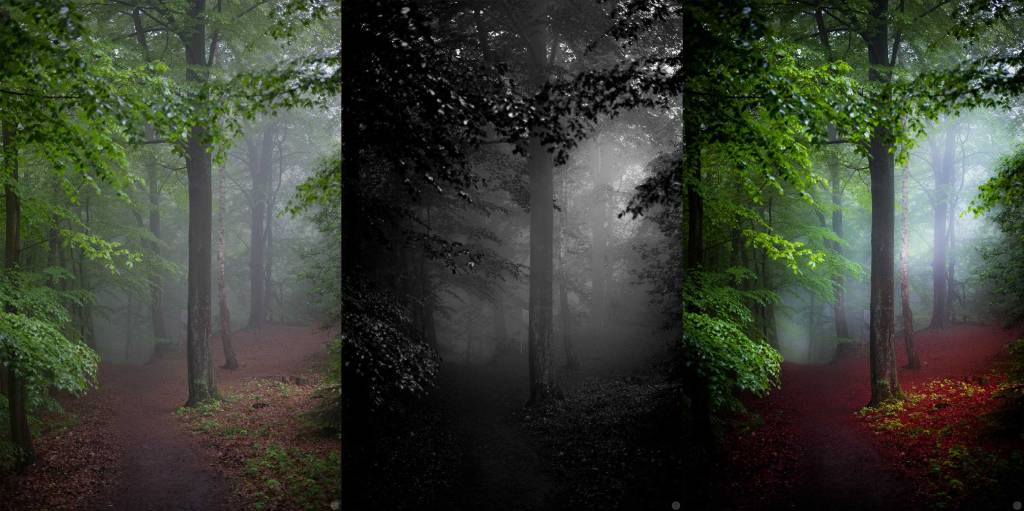 understanding-bw_depth_003