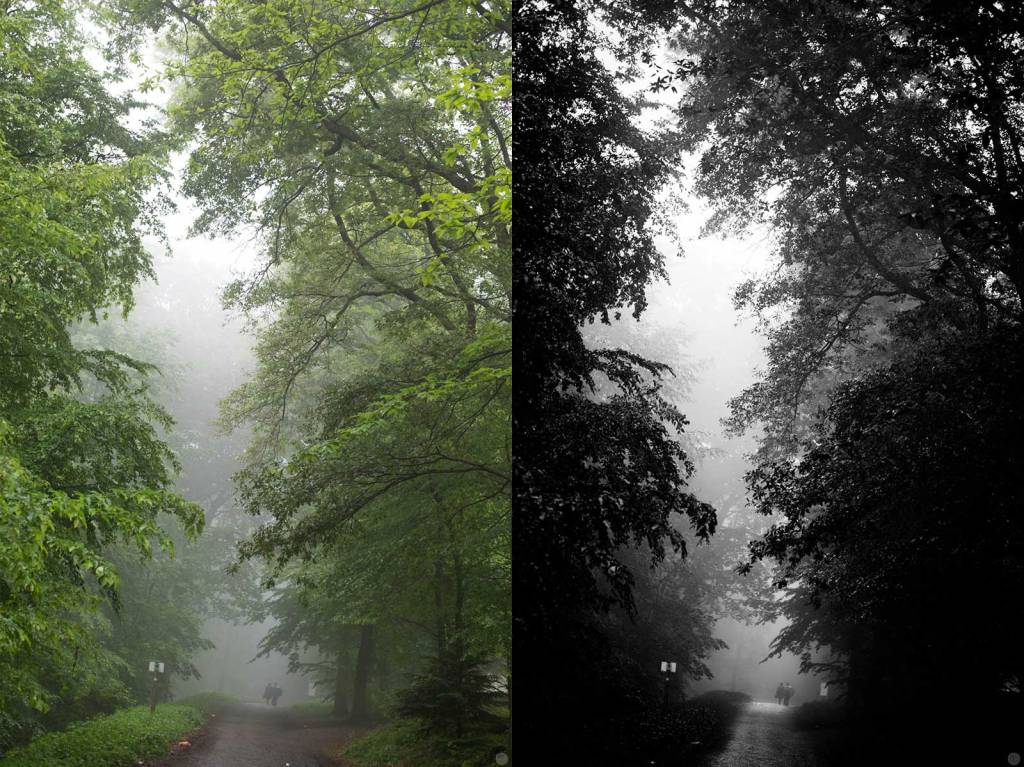 understanding-bw_depth_004