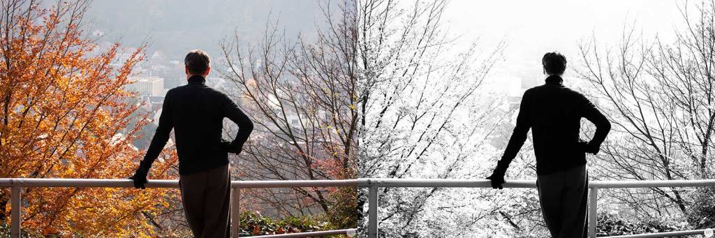 understanding-bw_forms-comparison_001