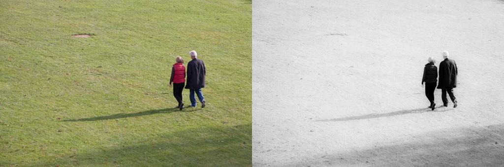 understanding-bw_forms-comparison_002