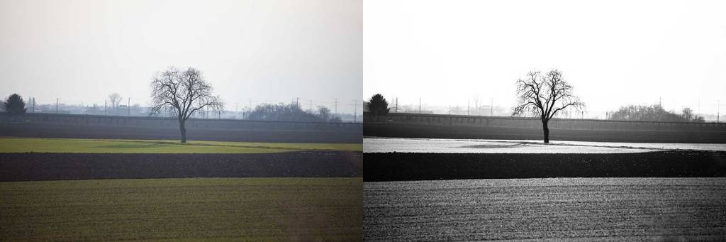 understanding-bw_patterns-and-separation-comparison_001