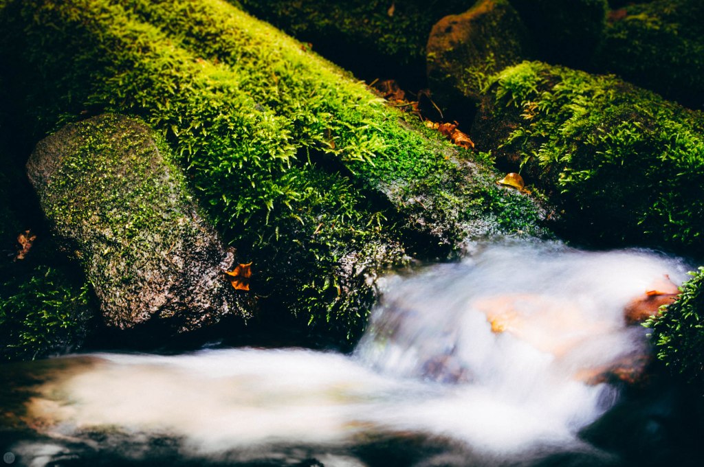valley-of-stones-and-tears-reedit_001_online