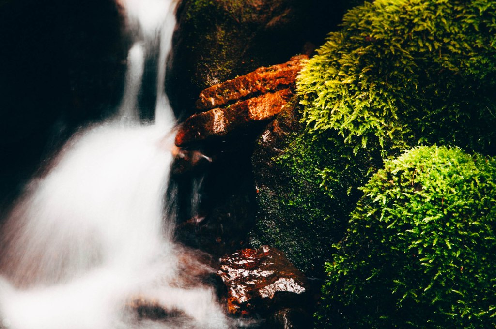valley-of-stones-and-tears-reedit_002_online