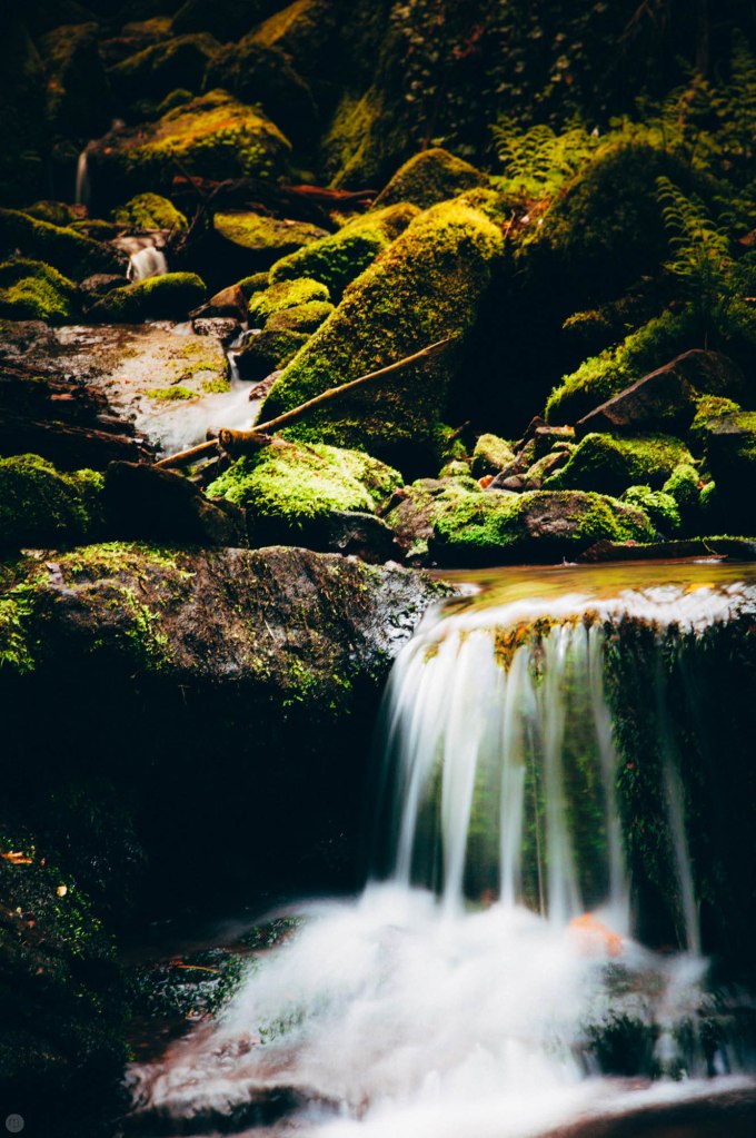valley-of-stones-and-tears-reedit_005_online