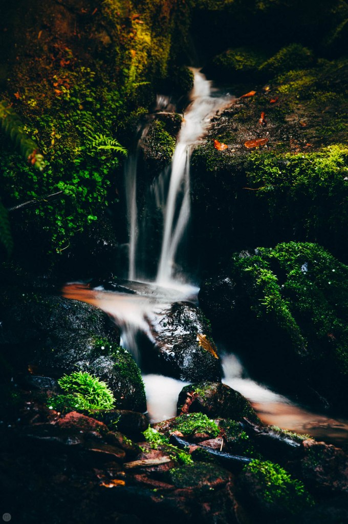 valley-of-stones-and-tears-reedit_006_online