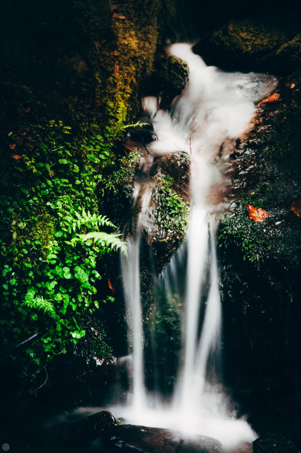 valley of stones and tears 7 &&nbsp;8