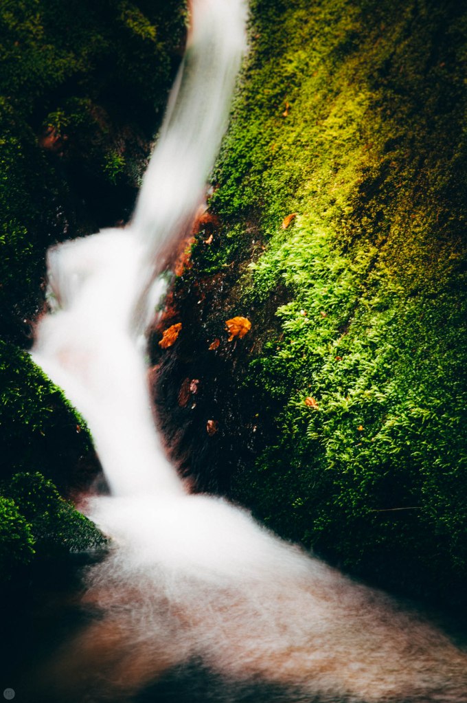 valley-of-stones-and-tears-reedit_008_online