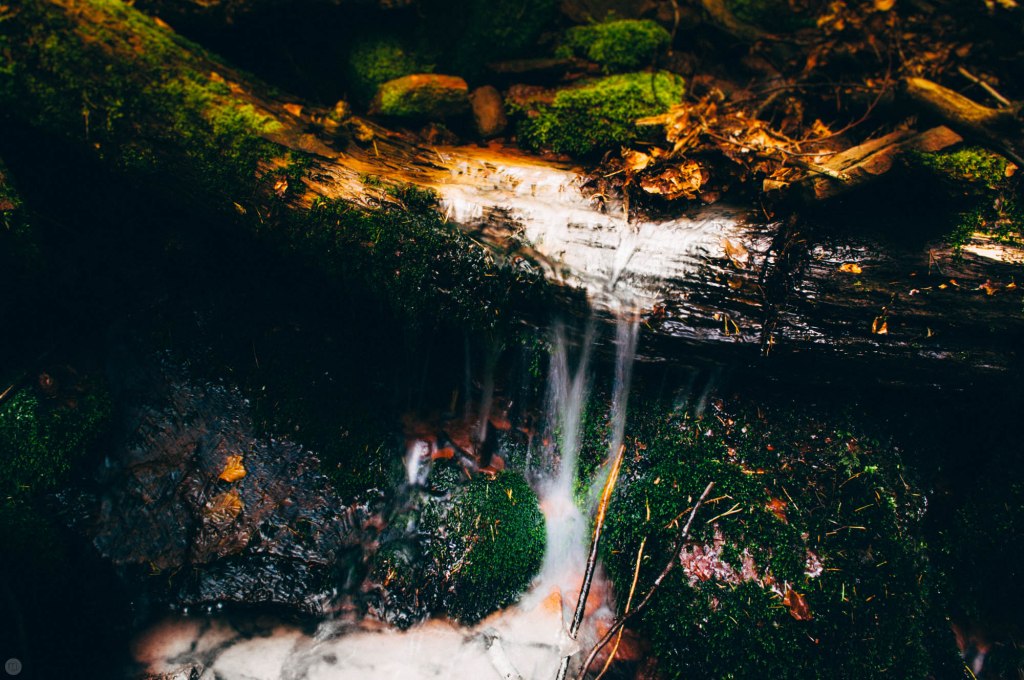 valley-of-stones-and-tears-reedit_009_online