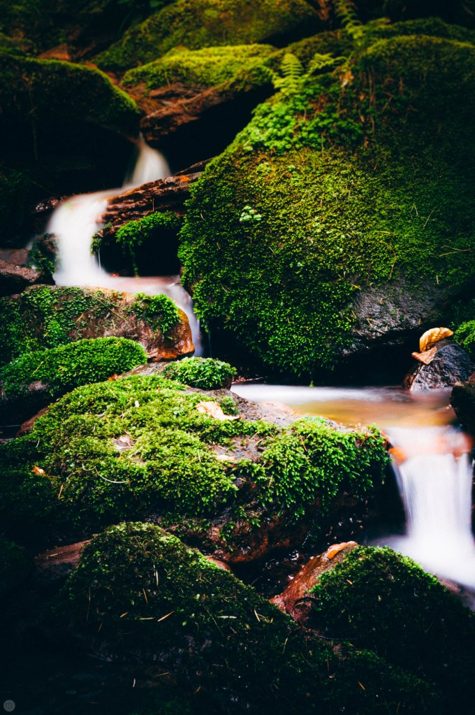 valley-of-stones-and-tears-reedit_010_online
