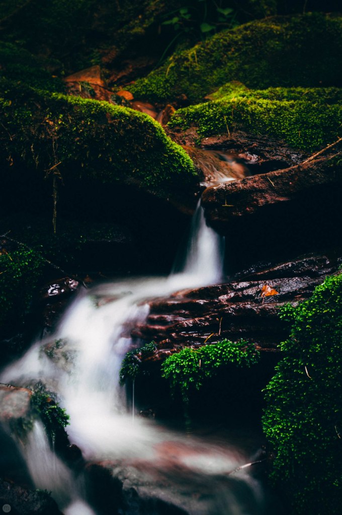valley-of-stones-and-tears-reedit_012_online