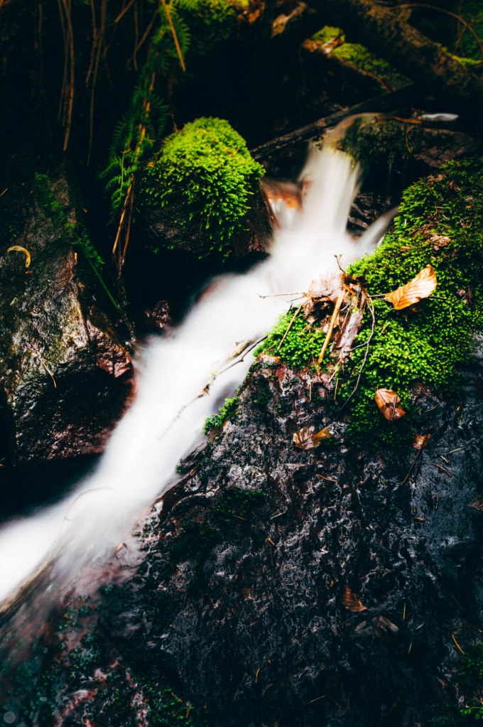 valley-of-stones-and-tears-reedit_013_online