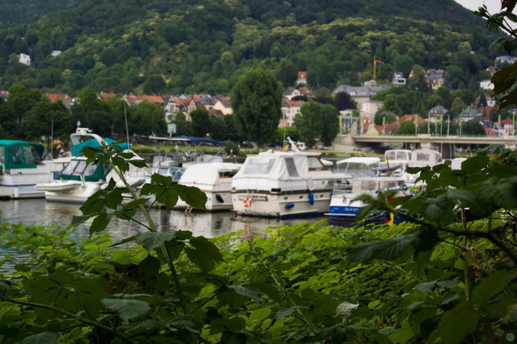 2014-online_0607_hands-on_nikon-1-v3_025