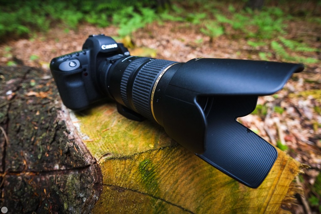 2013-online_1017_Waldspaziergang