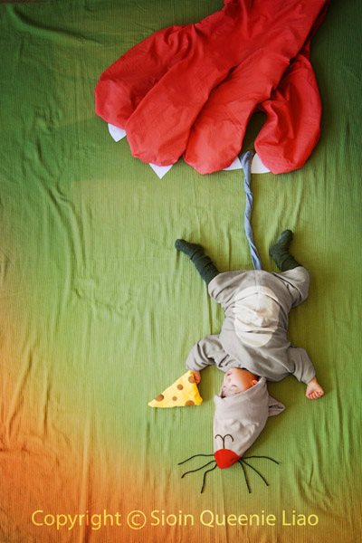 423126_272739269464983_54873080_n