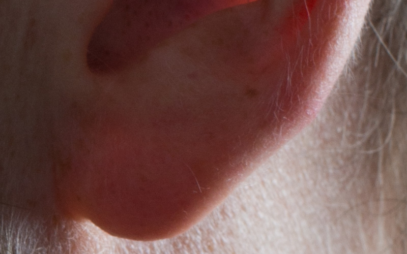 quattro-vs-d800_100percent-003_d800