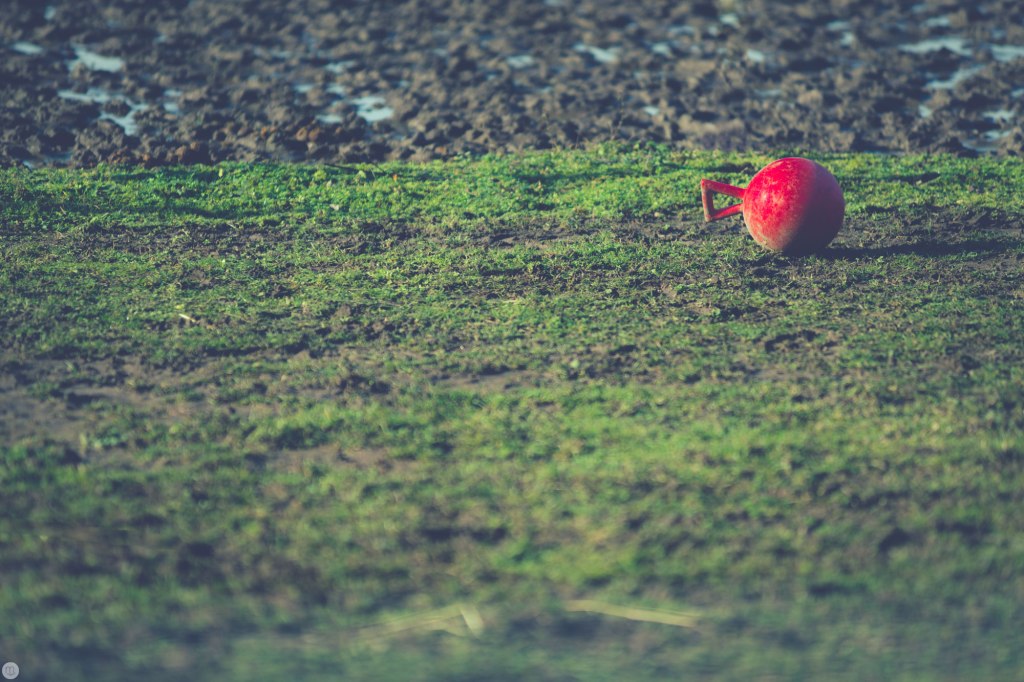 2014-online_0062_toy_001_online